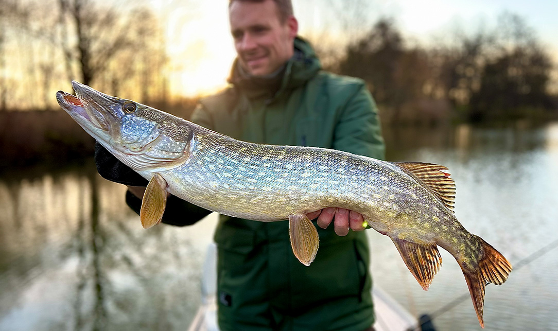 Angelguiding Angelguiding